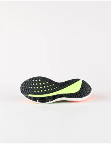 NIKE AIR WINFLO 9