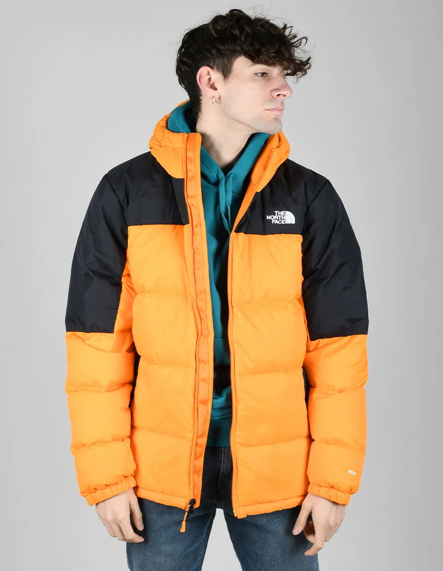 THE NORTH FACE NF0A4M9L7Q6-M