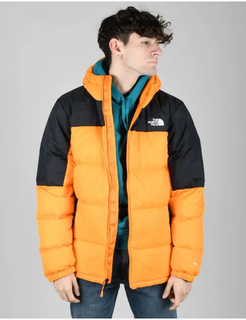 THE NORTH FACE NF0A4M9L7Q6-M