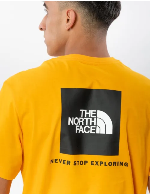 THE NORTH FACE NF0A2TX256P1