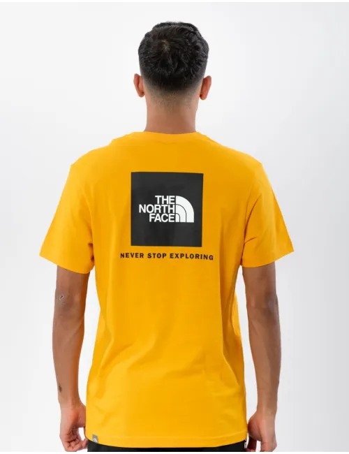 THE NORTH FACE NF0A2TX256P1