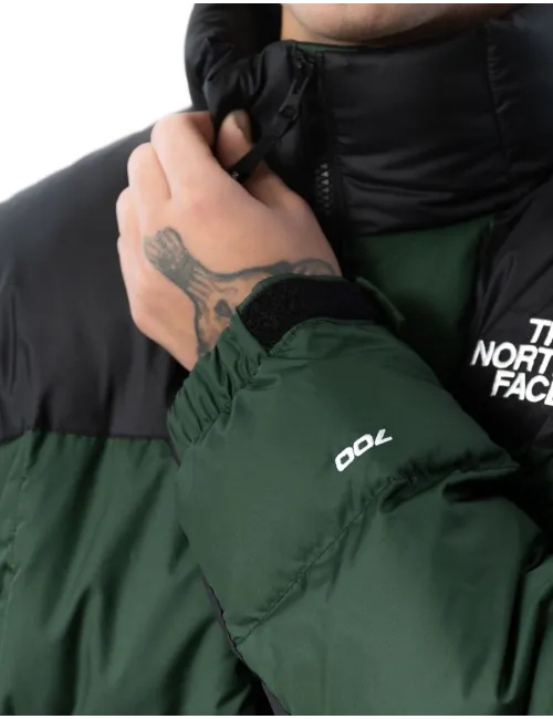 THE NORTH FACE     NF0A3Y23KII