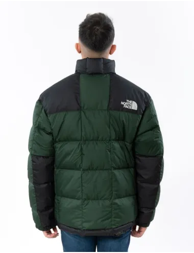 TNF     NF0A3Y23KII