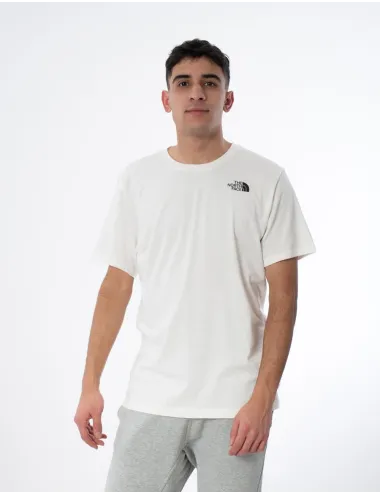 THE NORTH FACE  FOUNDATION GRAPHIC TEE NF0A86XJV3L1