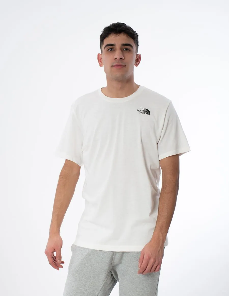 THE NORTH FACE FOUNDATION GRAPHIC TEE NF0A86XJV3L1