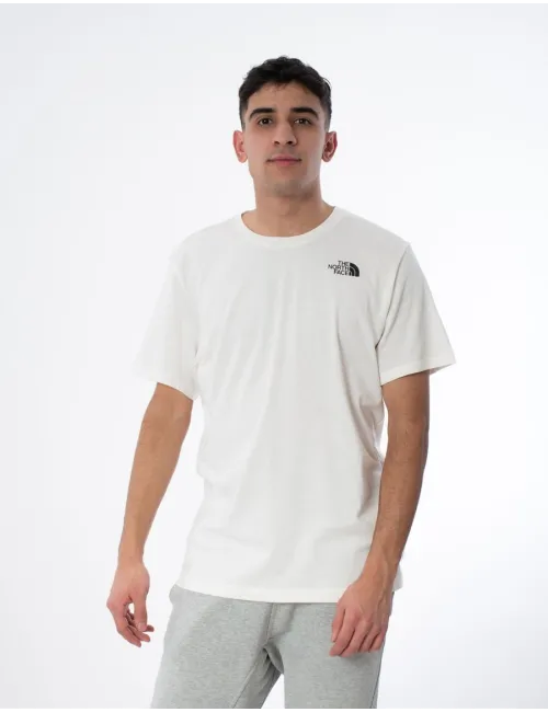 THE NORTH FACE  FOUNDATION GRAPHIC TEE NF0A86XJV3L1