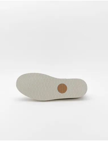 PANCHIC   P01M011-00552122