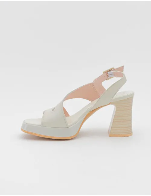 HISPANITAS   HV2432988 C001 SOHO-V24 