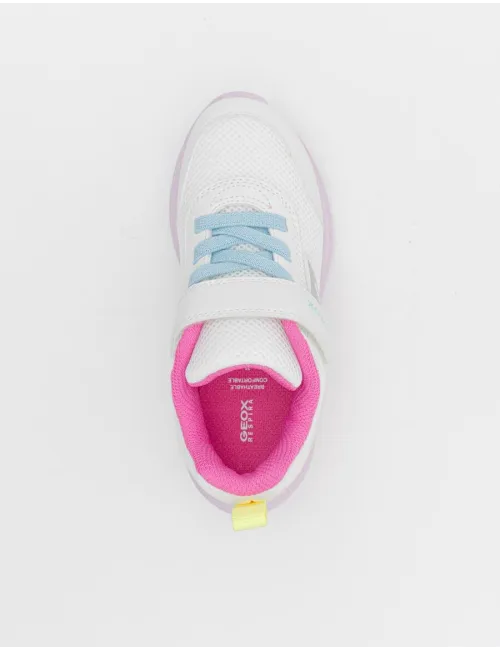 GEOX   J36FWB 01454 C0653