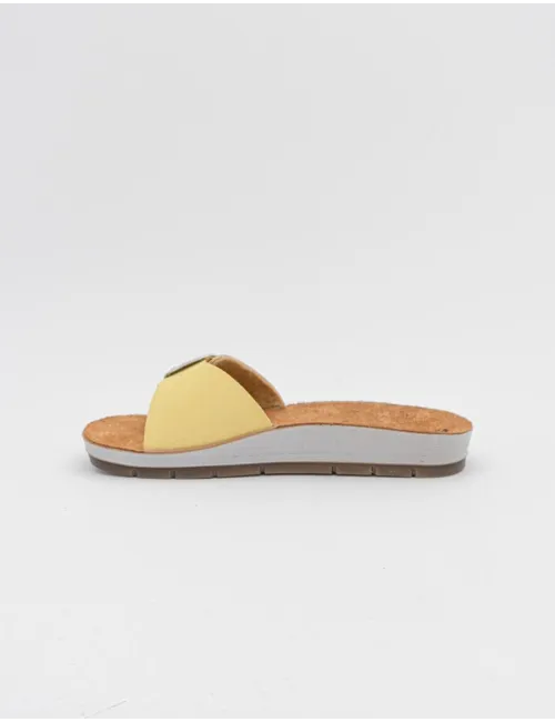 INBLU    CP000041