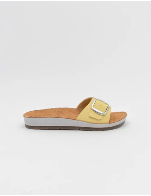 INBLU    CP000041