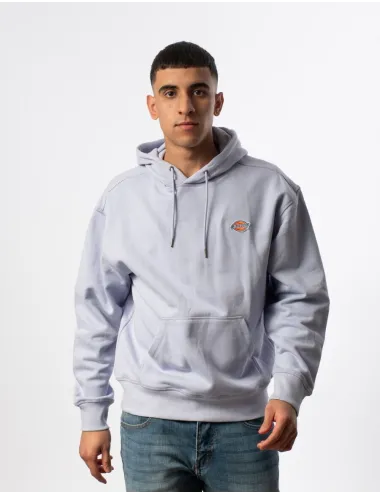 DICKIES  520040949900 100