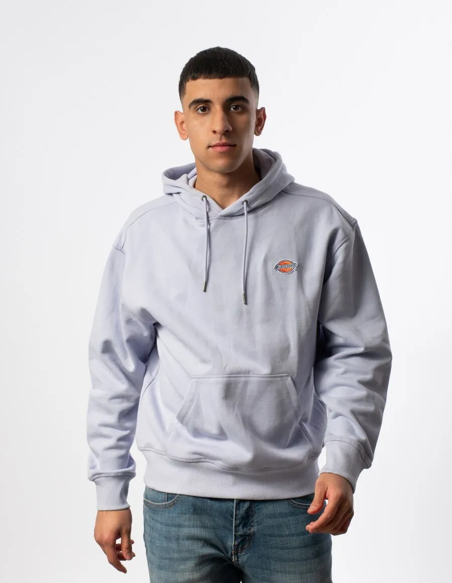 DICKIES 520040949900 100