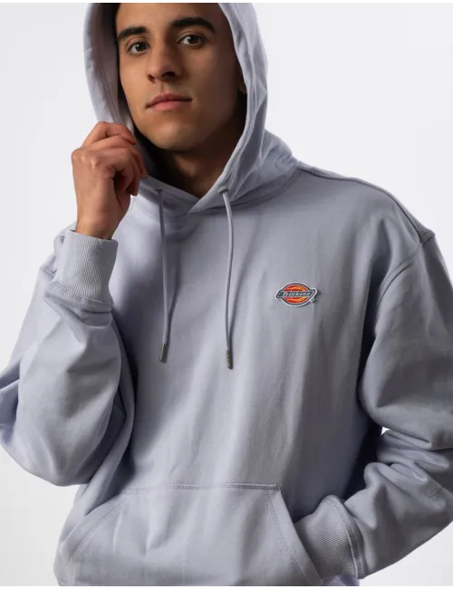 DICKIES  520040949900 100