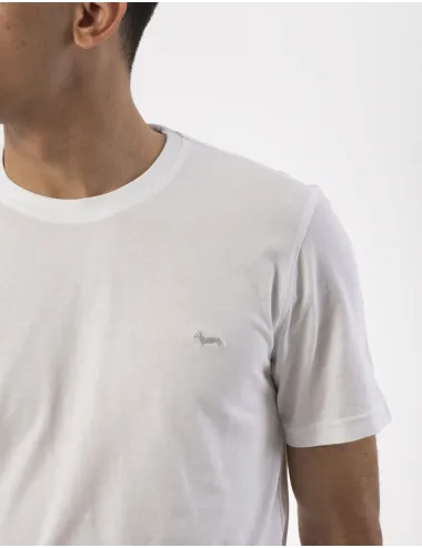 HARMONT& BLAINE  IN1001 100