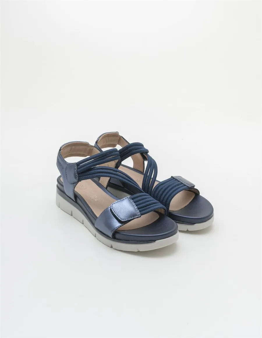 STONEFLY ELODY 23