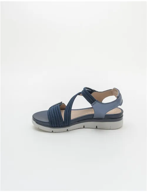 STONEFLY  ELODY 23
