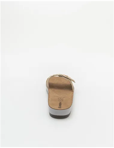 INBLU   CP000053