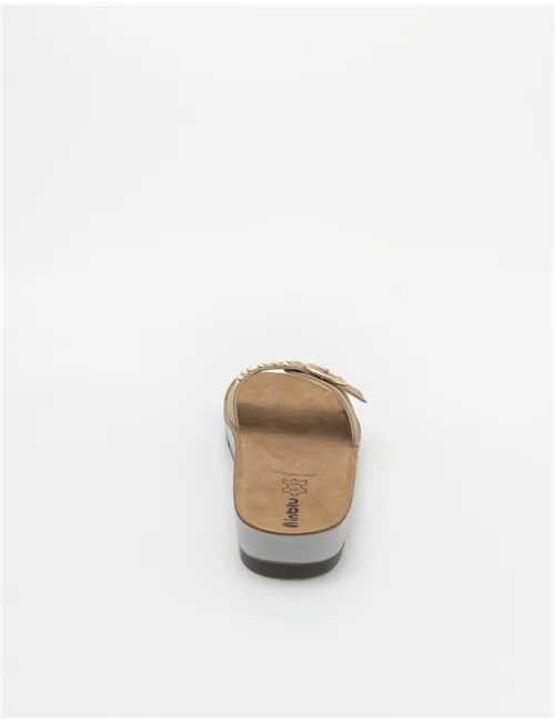 INBLU   CP000053