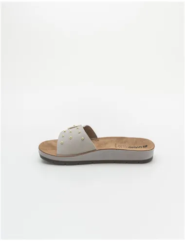 INBLU  CP000053