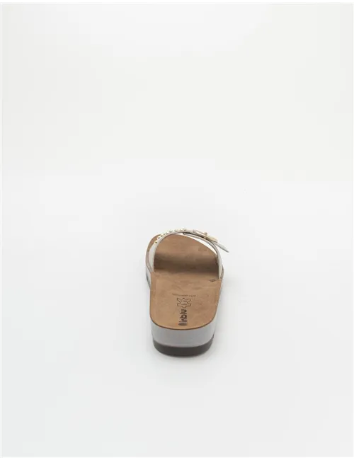 INBLU  CP000053