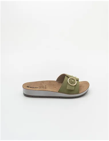 INBLU   CP000053
