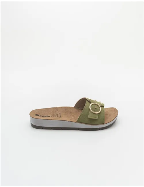 INBLU   CP000053