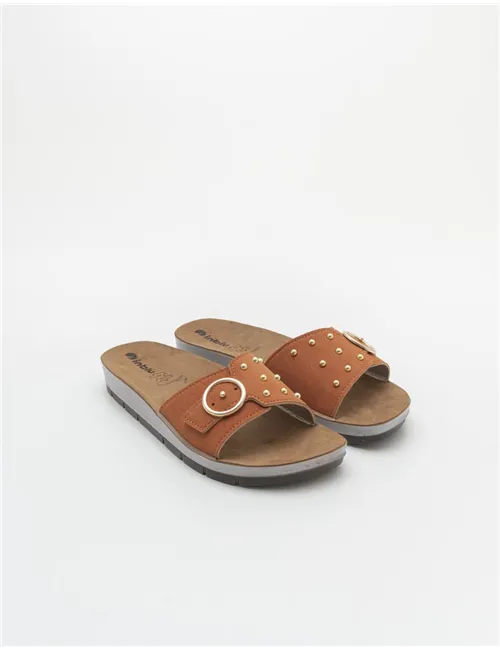 INBLU  CP000053
