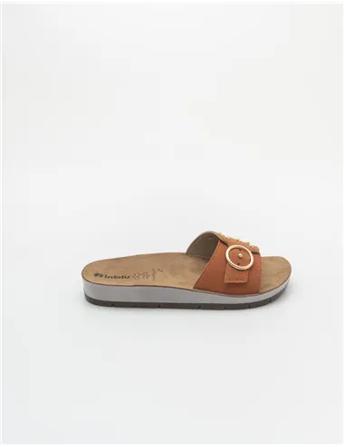 INBLU  CP000053