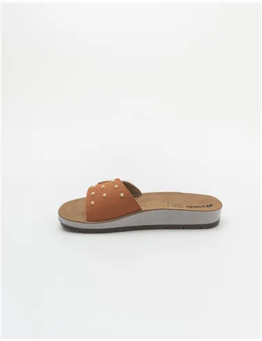 INBLU  CP000053