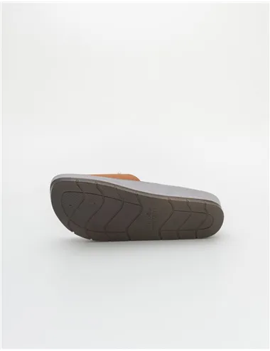 INBLU  CP000053