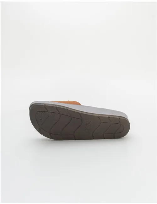INBLU  CP000053