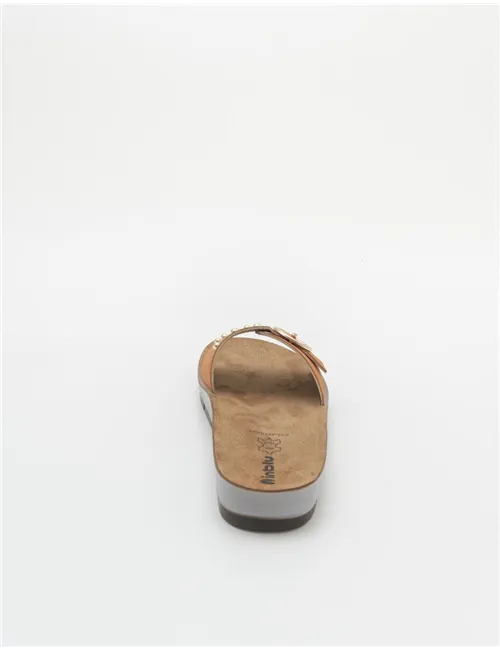INBLU  CP000053