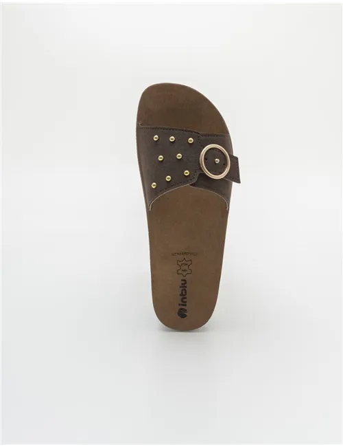 INBLU    CP000053