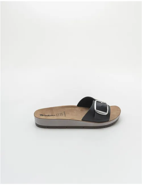 INBLU    CP000041