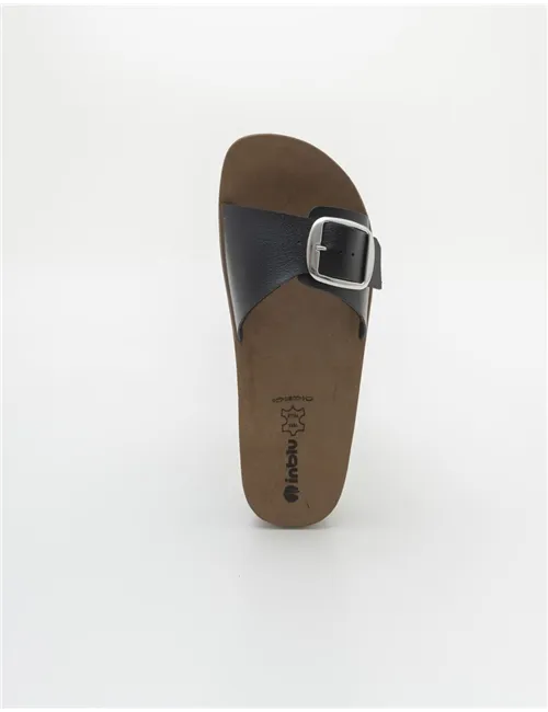 INBLU    CP000041