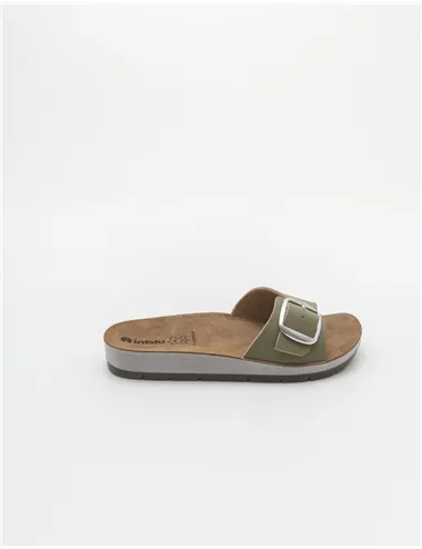 INBLU    CP000041