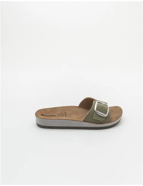 INBLU    CP000041