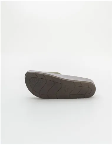 INBLU    CP000041
