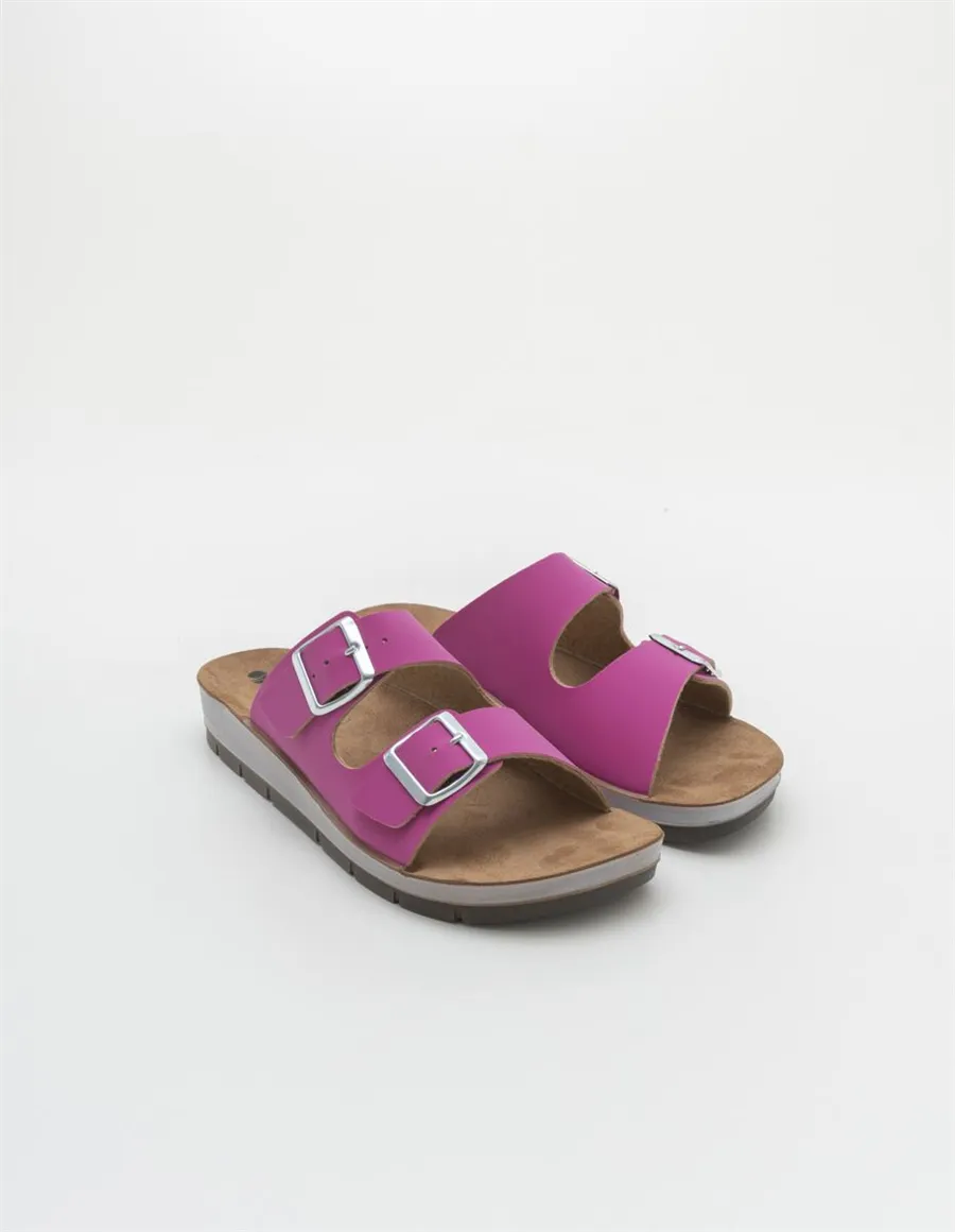 INBLU CP000042