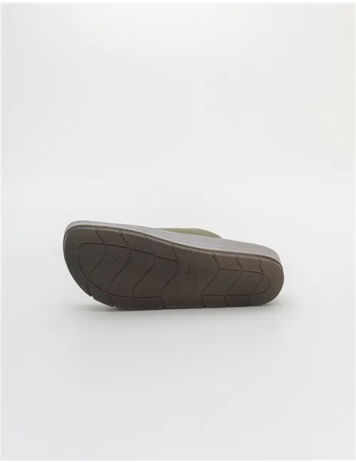 INBLU   CP000042