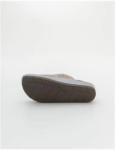 INBLU    CP000050