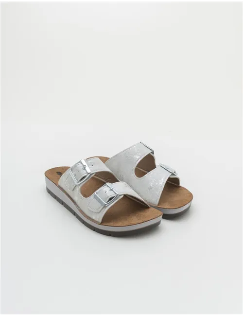 INBLU    CP000050