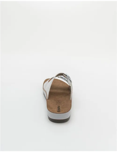 INBLU    CP000050