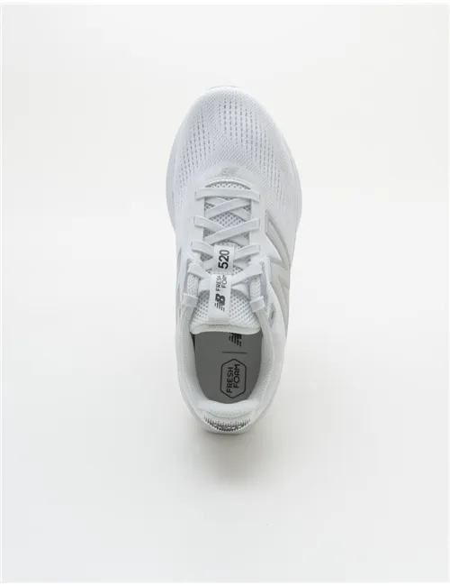 NEW BALANCE W520LW9