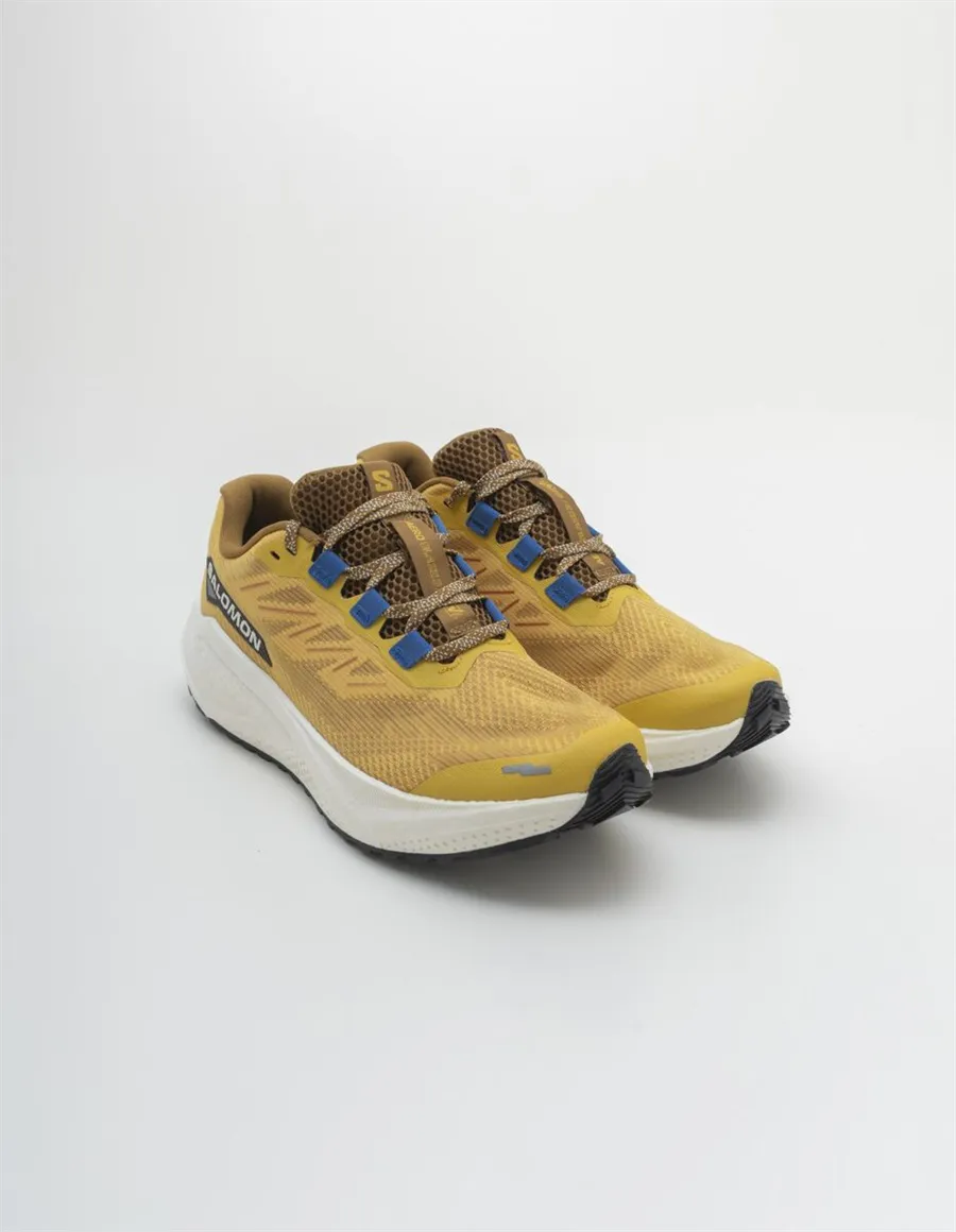 SALOMON AERO BLAZE 3 GRVL