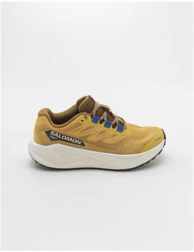 SALOMON AERO BLAZE 3 GRVL