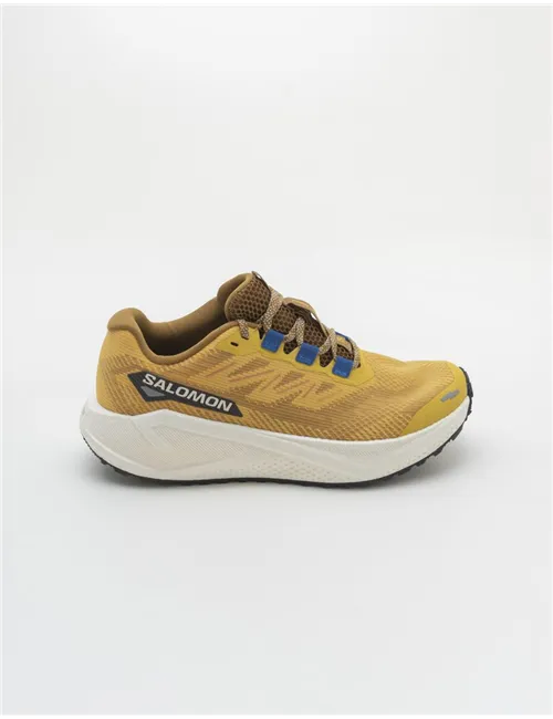 SALOMON AERO BLAZE 3 GRVL