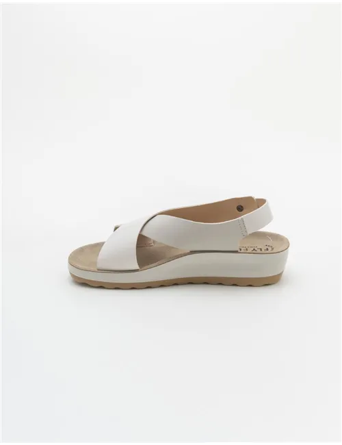 FLY FLOT  RITTANA