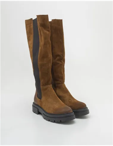 STIVALE  13404